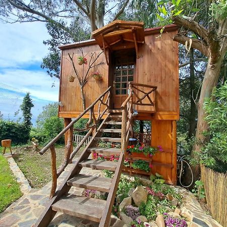 Cabana Pia Paxaro Villa Nigrán Buitenkant foto